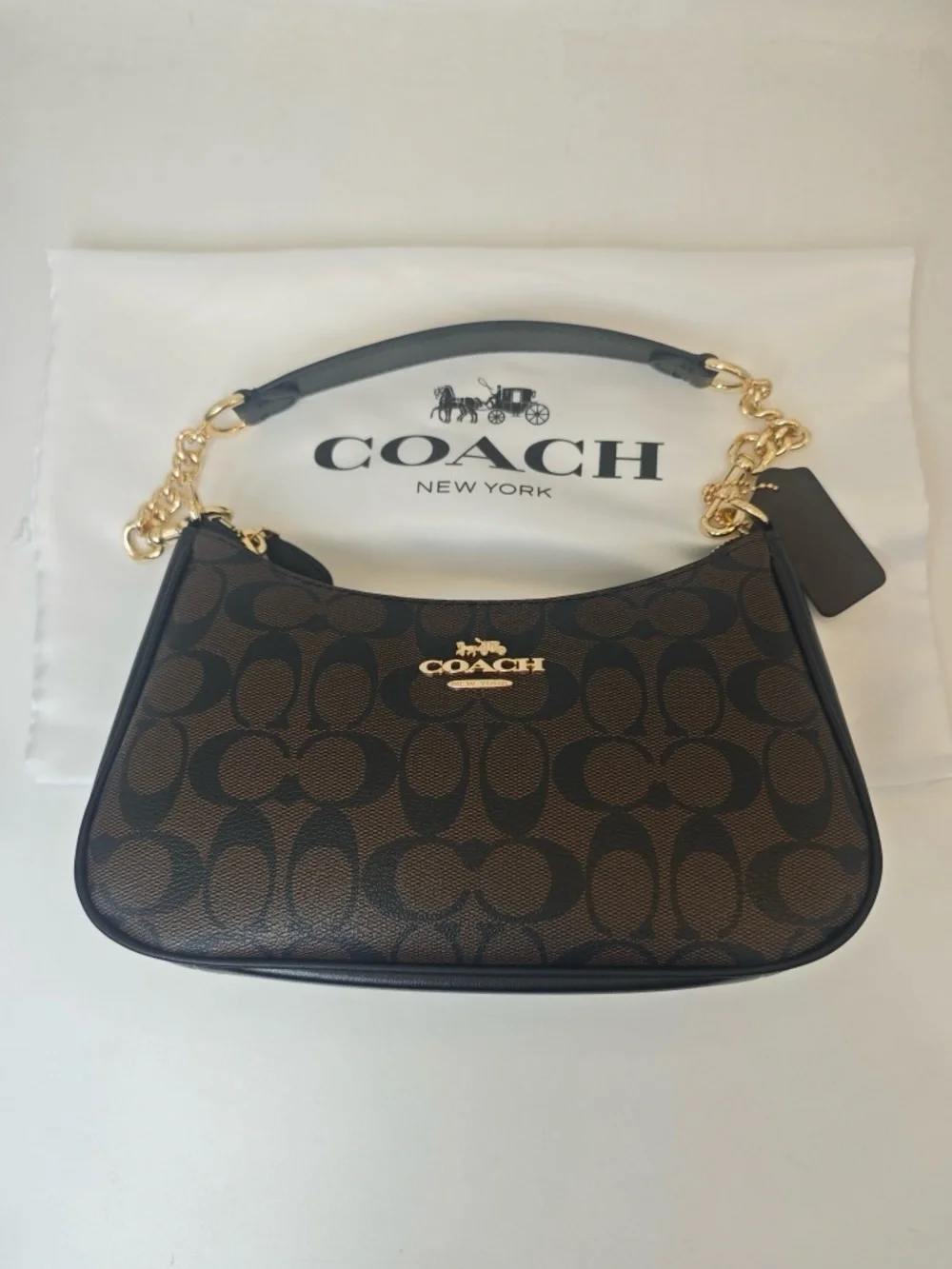 Coach Dark Brown Signature Mini Hobo with Gold Chain - Picture 12 of 12